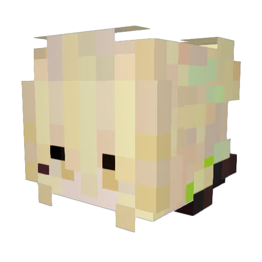 NovaHellNo Minecraft avatar head, 3D render