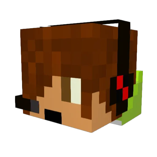NovaHunger Minecraft avatar head, 3D render