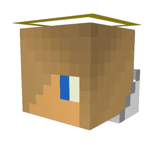 NovaLife Minecraft avatar head, 3D render