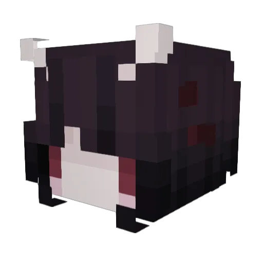 NovaN1lla Minecraft avatar head, 3D render