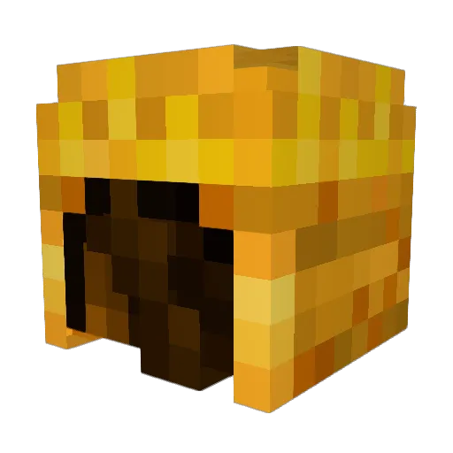 NovaNovanix Minecraft avatar head, 3D render