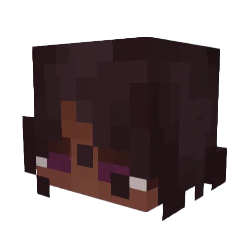 NovaNovem Minecraft avatar head, 3D render