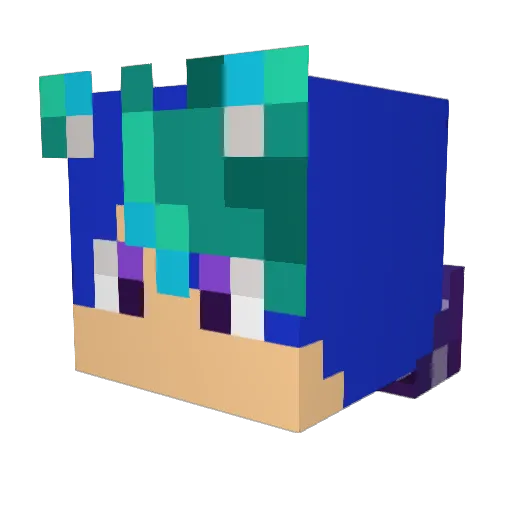 NovaNoviGaming Minecraft avatar head, 3D render