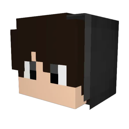 NovaOfficialyt Minecraft avatar head, 3D render