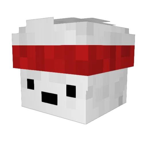 NovaPhaze Minecraft avatar head, 3D render