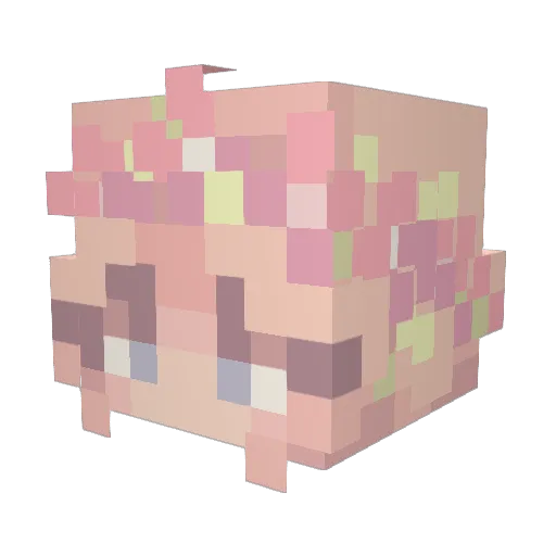 NovaSolstice Minecraft avatar head, 3D render