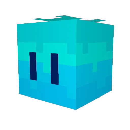 NovaZhao Minecraft avatar head, 3D render
