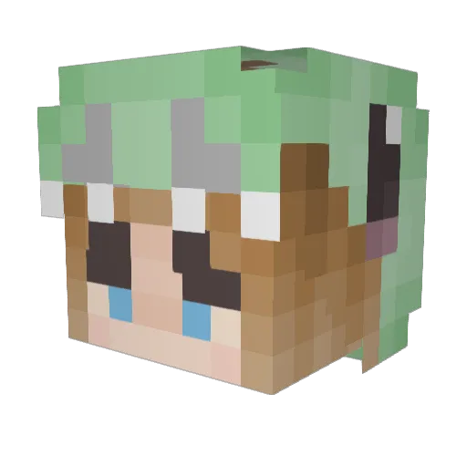 Nova_2007 Minecraft avatar head, 3D render
