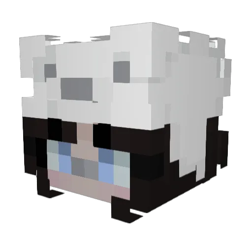 Nova_99 Minecraft avatar head, 3D render