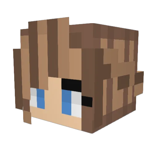 Nova_BT21_ Minecraft avatar head, 3D render