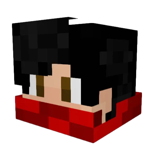 Nova_Drone Minecraft avatar head, 3D render