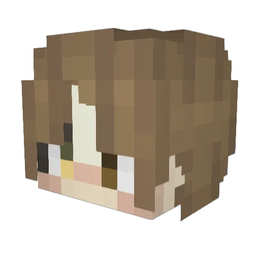 Nova_Intlling Minecraft avatar head, 3D render