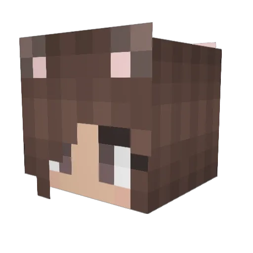 Nova_Moshi Minecraft avatar head, 3D render