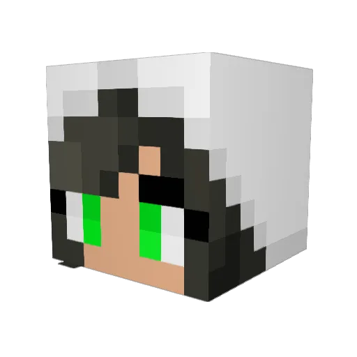 Nova_Star07 Minecraft avatar head, 3D render