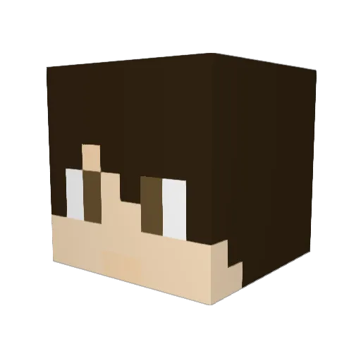 Nova_TG Minecraft avatar head, 3D render