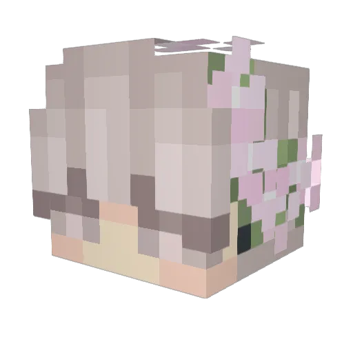 Nova_The_Guy Minecraft avatar head, 3D render