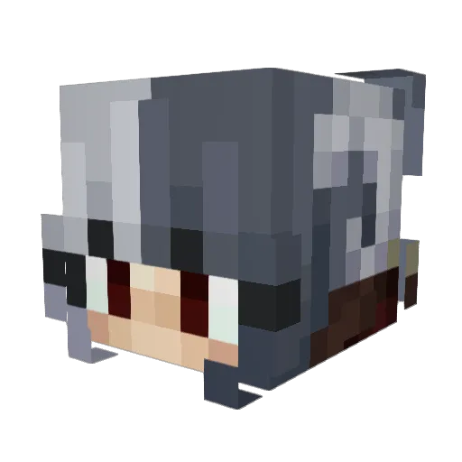 Nova__Cat Minecraft avatar head, 3D render