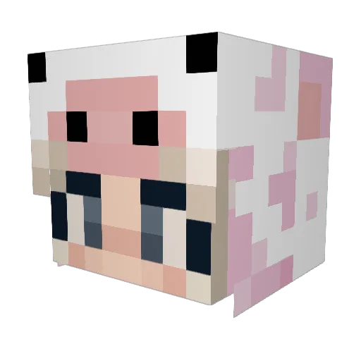 NovaaLight Minecraft avatar head, 3D render