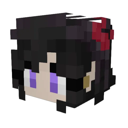 Novaa_Skies Minecraft avatar head, 3D render