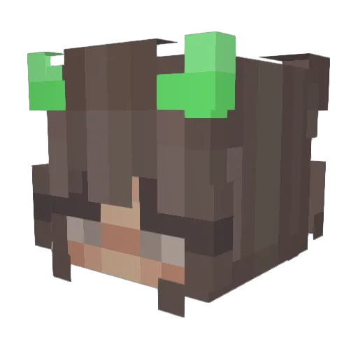 Novaaa2 Minecraft avatar head, 3D render