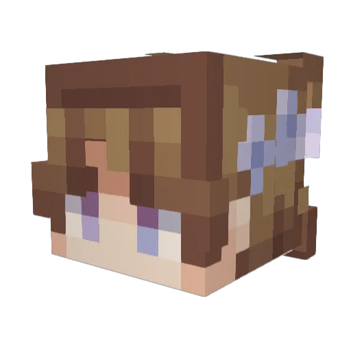 Novaaaaaaaaa_ Minecraft avatar head, 3D render