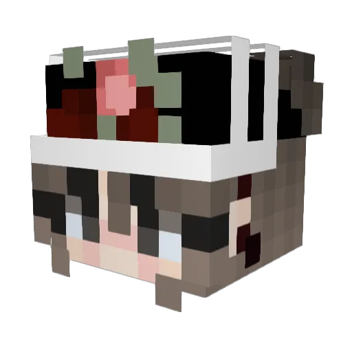 Novababy12 Minecraft avatar head, 3D render