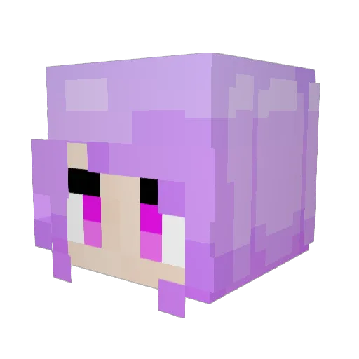 Novacayne Minecraft avatar head, 3D render