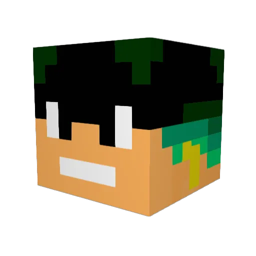 Novae_Rog Minecraft avatar head, 3D render
