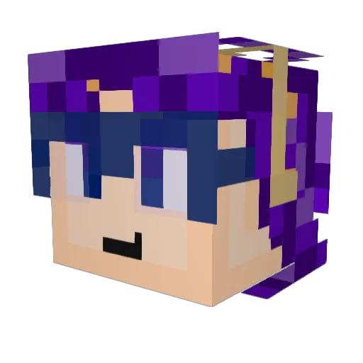 Minecraft-Avatar von Novae_Z: Kopf als 3D-Render