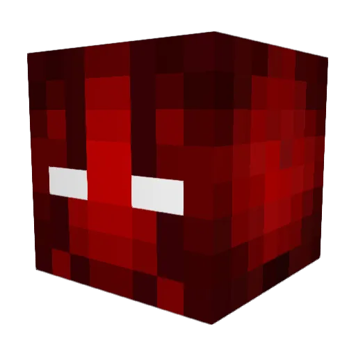 Novagirl05 Minecraft avatar head, 3D render