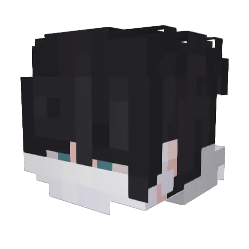 Novahsilisko Minecraft avatar head, 3D render