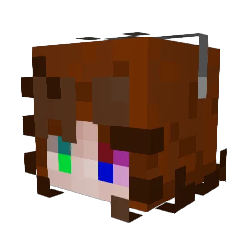 Novahss_ Minecraft avatar head, 3D render