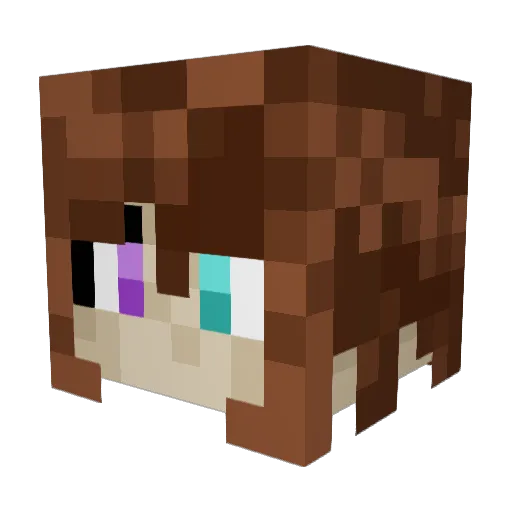 Novaien Minecraft avatar head, 3D render