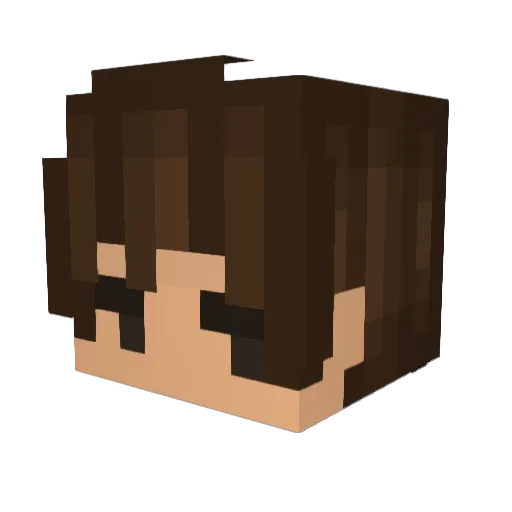 Novakaiin Minecraft avatar head, 3D render