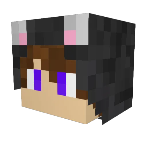Novalan Minecraft avatar head, 3D render