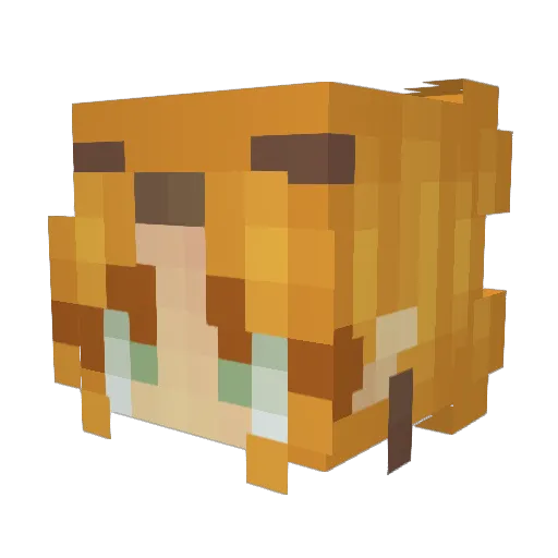 NovaluneFX Minecraft avatar head, 3D render