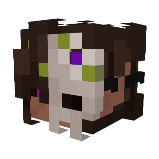 Novaris79 Minecraft avatar head, 3D render