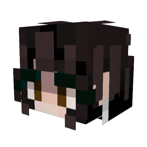 Novaro8295 Minecraft avatar head, 3D render