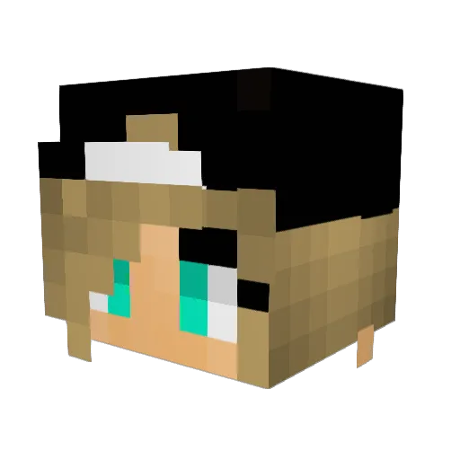 Novarq Minecraft avatar head, 3D render