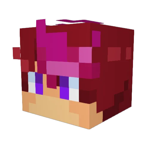 Novarusic Minecraft avatar head, 3D render