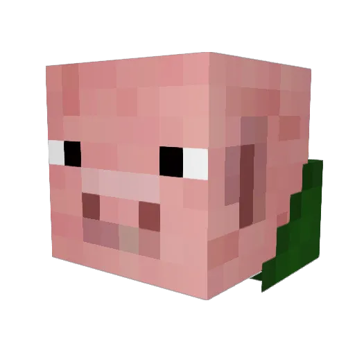 NovasAbyss Minecraft avatar head, 3D render
