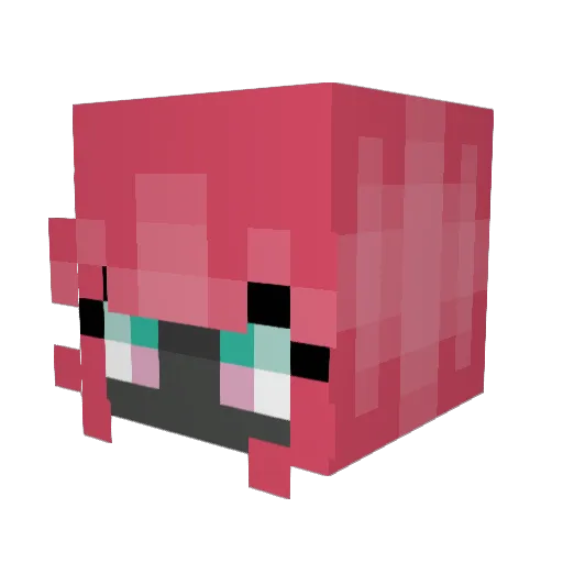 NovasLightning Minecraft avatar head, 3D render