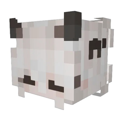 NovasMoth Minecraft avatar head, 3D render