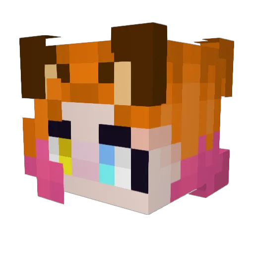 Novashi_ Minecraft avatar head, 3D render