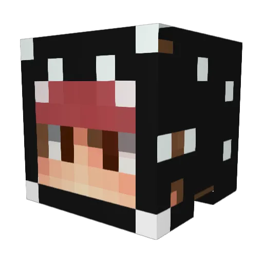 Novaslayer69 Minecraft avatar head, 3D render
