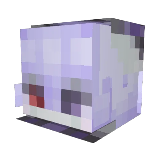 Novaslime29 Minecraft avatar head, 3D render
