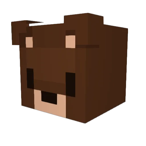 Novatillo76 Minecraft avatar head, 3D render