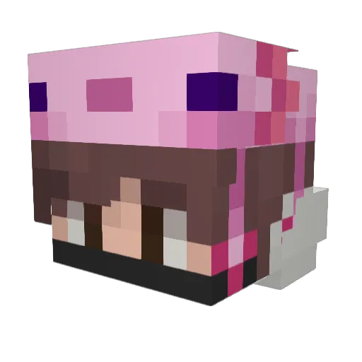 Novato129 Minecraft avatar head, 3D render