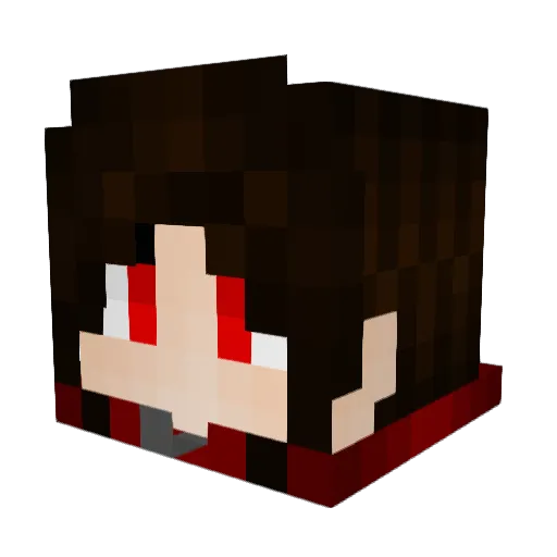 Novawhyking Minecraft avatar head, 3D render