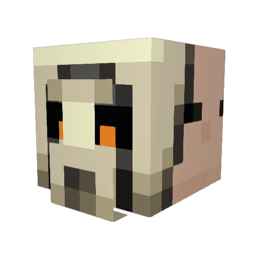 Novawing86 Minecraft avatar head, 3D render
